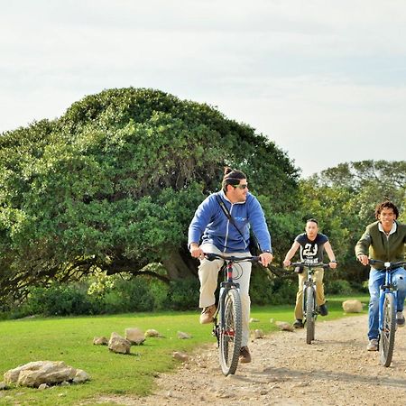 De Hoop Collection - Campsite Rondawels De Hoop Nature Reserve エクステリア 写真